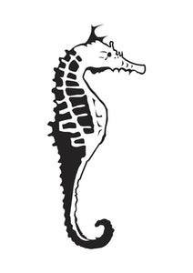 Embossing Folder - Sea Horse