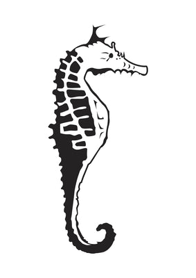 Embossing Folder - Sea Horse