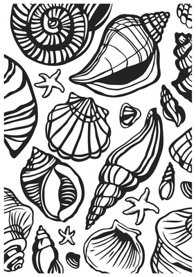 Embossing Folder - Sea Shells