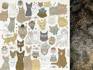 Paper Kaisercraft - Pawfect Collection - Cats