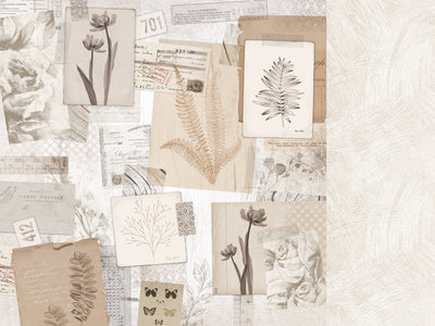 Paper Kaisercraft - Whisper Collection - Organic